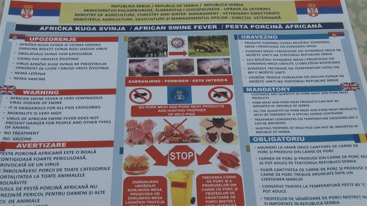 Афричка куга свиња регистрована у Румунији, ресорно министарство предузело мере заштите