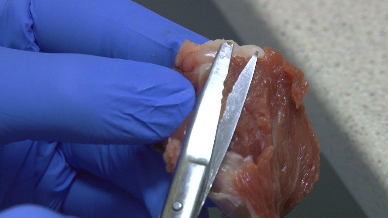 Стручњаци упозоравају:  свињско месо контролисати на трихинелозу