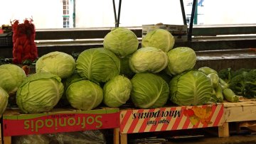 За кисели купус потребно више новца него лани 