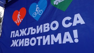 Од почетка године у саобраћајним незгодама у Суботици страдало 9 особа