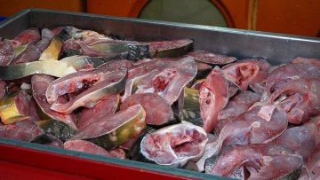 Шаран најтраженији за празничну трпезу