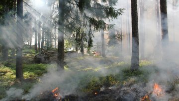 Јавно предузеће „Војводинашуме” не одустаје од борбе са ватром 