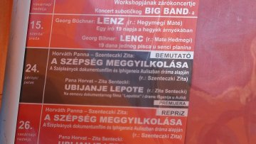 „Убијање лепоте” – трагична прича о свету у ком је перфекционизам једина мера