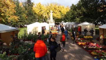 Почео Јесењи фестивал цвећа „Гарден флора”