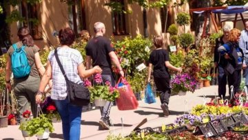 Јесења цветна пијаца 14. и 15. октобра у Новом Бечеју