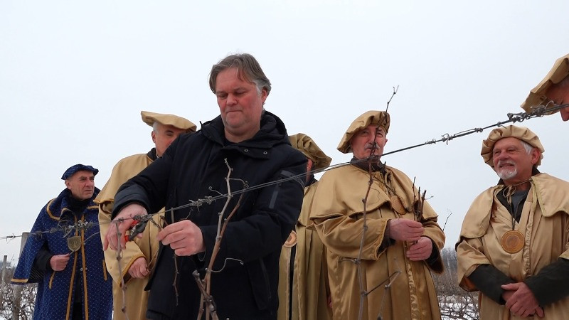 Орезивање винограда – да ли ће бити добар род ове године?