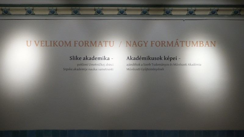 Слике осам академика пред суботичком публиком