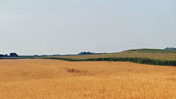 Због дуга према ПИО фонду, пољопривредници остају без њива