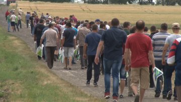 Стручњаци и пољопривредници забринути за приносе због суше