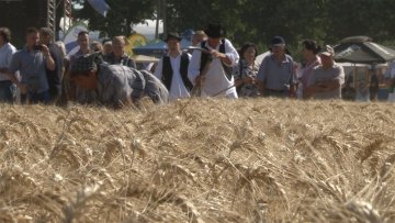 Одржано такмичење у рисању 