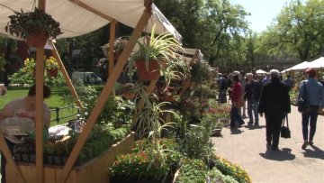 Прва јесења изложба и вашар цвећа