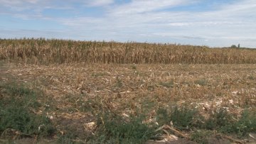 Републички и покрајински органи најавили помоћ пољопривредницима