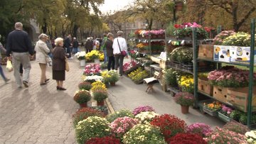 Јесењи фестивал цвећа „Гарден флора” на Тргу Републике
