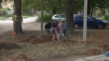 Успешна радна акција у МЗ Палић