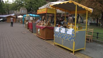 Тровање пчела највећи проблем пчелара