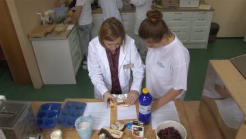 Европски дан правилне исхране и кувања са децом