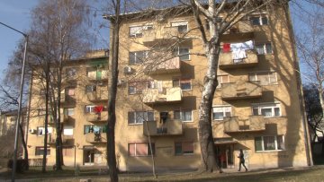 Предности професионалне управе