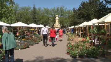 Богат избор цвећа на деветој „Гарден флори“