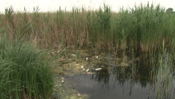 Све је више отпада у заштићеним подручјима