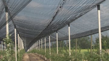 Заштитне противградне мреже