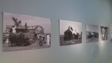 Изложба о рису и такмичењу рисара