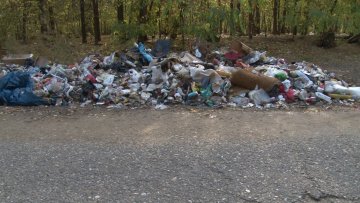 Келебијска шума и даље пуна смећа