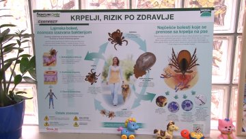 Опасност од крпеља вреба и током зиме