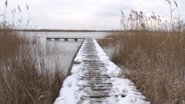 У сусрет Међународном дану заштите мочвара
