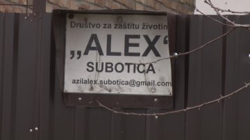 Да ли су пси у азилу „Алекс“ занемарени?