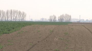 Од закупа државне земље у градски буџет града милион евра