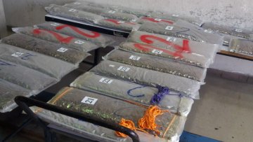 На Хоргошу заплењено више од 50 кг марихуане
