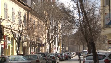 Замена дрвореда у Улици Бранислава Нушића
