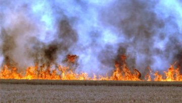 Не спаљујте ниско растиње на отвореном!
