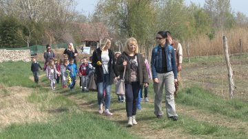 Очување културне баштине региона