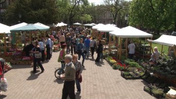 Центар града у знаку цвећа