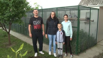 Папагаји све популарнији као кућни љубимци 
