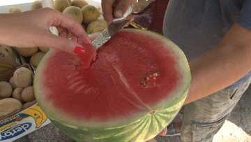 Продаја лубеница на преко 40 локација у граду