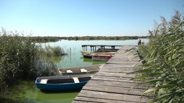 Сливу Палић-Лудаш потребан нови правилник о регулисању водостаја