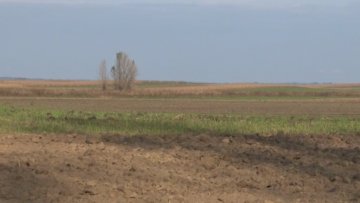 У Суботици теже до одузетог пољопривредног земљишта