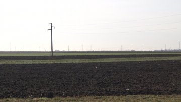 Јавно надметање за давање у закуп државног пољопривредног земљишта