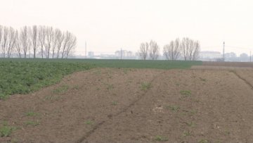 Пад температуре неће сметати озимим културама