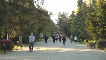 Пола сата шетње злата вредно