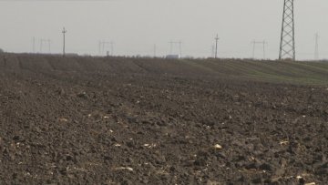 У јеку припреме за сетву уљане репице