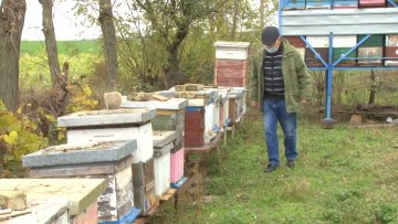 Пчелари се спремају за зиму и памте боље дане