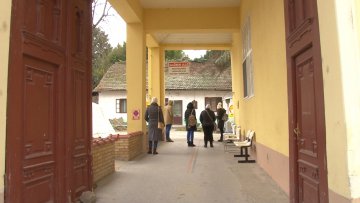 Позитивно чак 50 до 55 одсто тестираних у Суботици