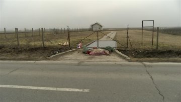 „Не зна свиња шта је Европска унија“