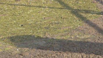 Штапићима за уши и маскама није место у канализационој мрежи
