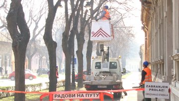 Завршено зимско орезивање стабала