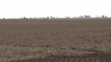 Мразеви неће утицати на принос