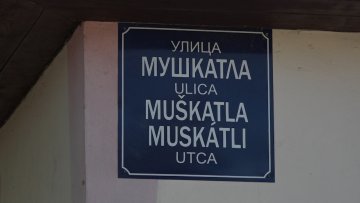 Жила куцавица Малог и Великог Радановца – рупа до рупе